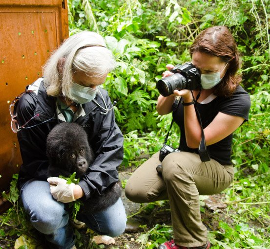 New Communications Officer for Gorilla Doctors
