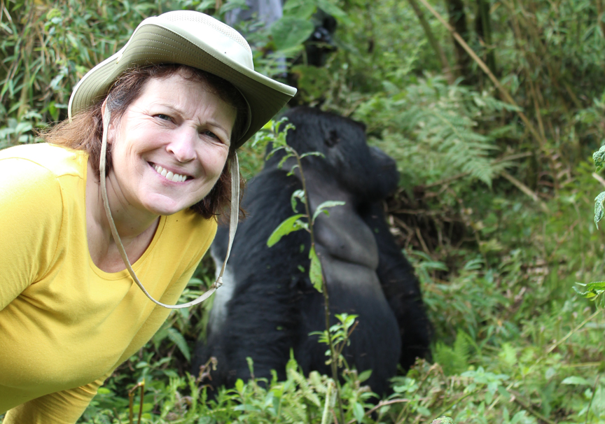 Gorilla Doctors From A Veterinarian's Perspective