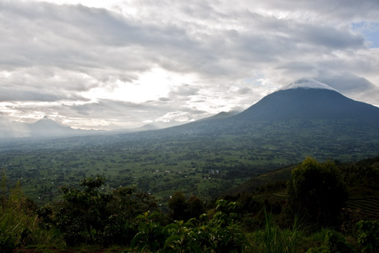 The sharp divide between gorilla habitat and farmland visible on the slopes of Mt. Muhabura in Rwanda.