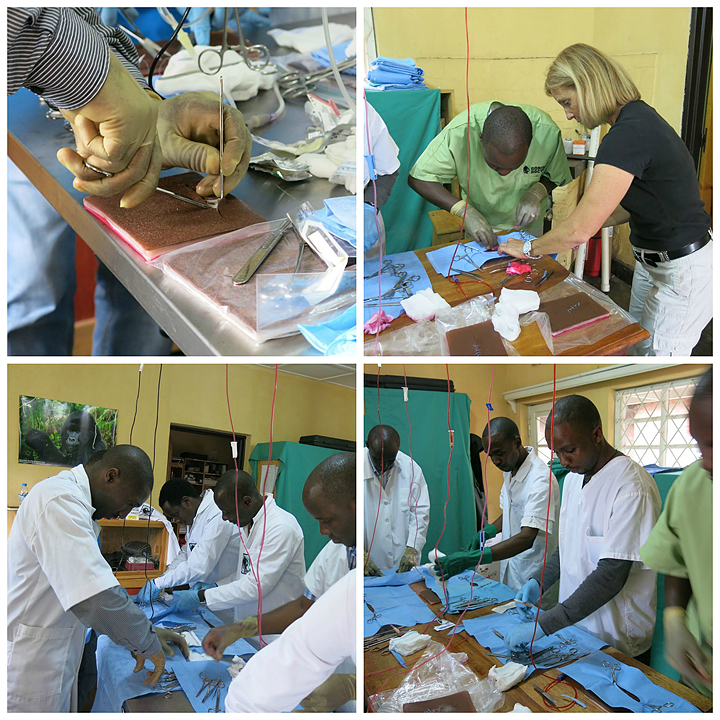 Gorilla Doctors field veterinarians practice suture techniques with Dr. Donna Shett