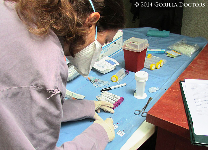 Dr. Alisa records observations and collects samples during the exams.