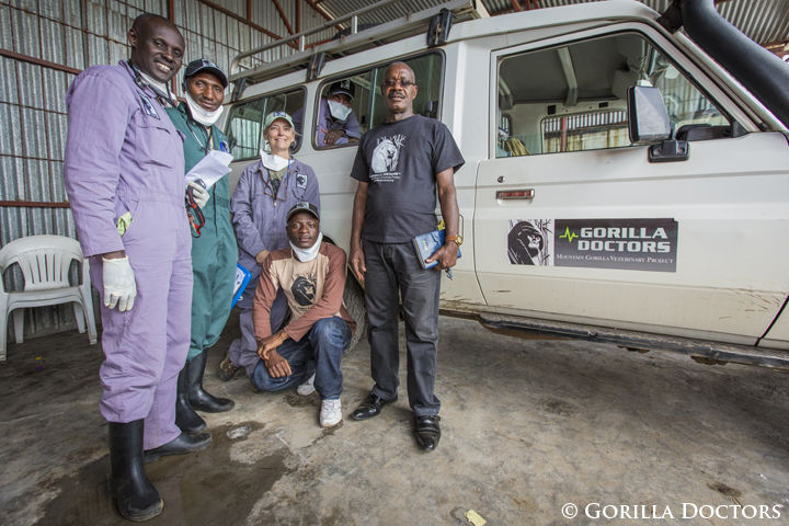 Dr. Jan with the Gorilla Doctors Rwanda and DRC Field Veterinarians at the airport in Goma during Ihirwe's transfer.