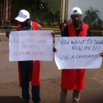 Gorilla Doctors Participates in World Wildlife Day