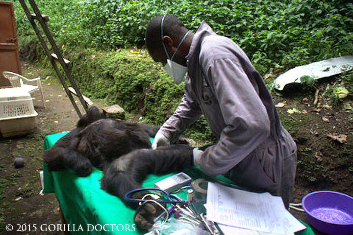 Dr. Eddy palpates Kalonge's leg.