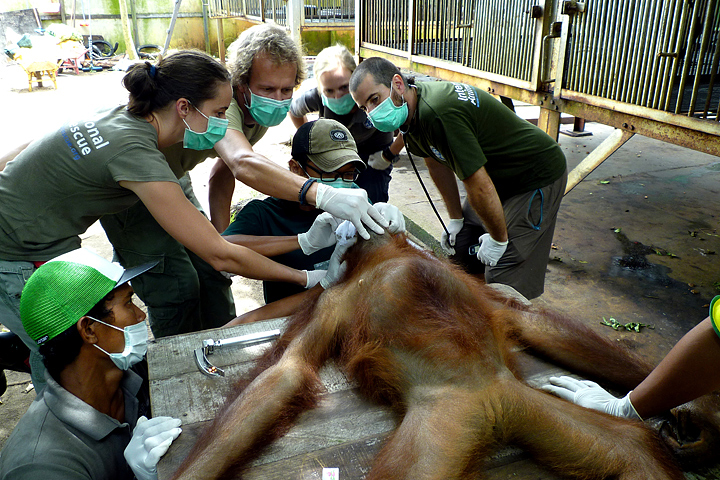 Dr. Joost conducts training session.