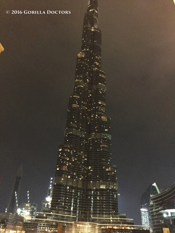 The Burj Khalifa, the world's tallest building, lit up at night. To tall for Dr. Gilardi's camera to fit the entire building in the frame!
