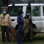 Baby Gorilla Rescued in Kahuzi Biega National Park