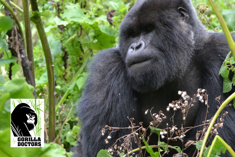 Kalisimbi is the mother of the twins.