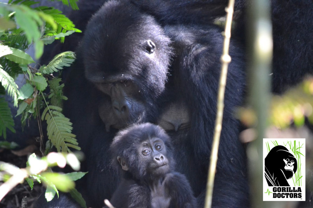 gd_ricky_adf-and-inf_nyabuche-and-her-infant_habinyanja_binp_160918-2