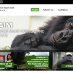 Berggorilla & Regenwald Direkthilfe Supports Gorilla Doctors