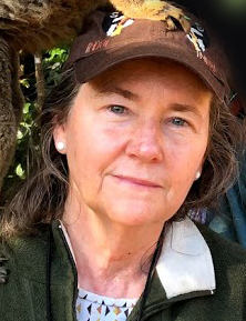 Gorilla Doctors board member Kathleen Gabrielson