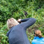 Coronavirus and Disease: How You Can Help Protect Mountain Gorillas