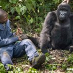 Guardians of Gorilla Health: Team DR Congo