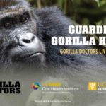 TRANSCRIPT: Gorilla Doctors LIVE December 8, 2022