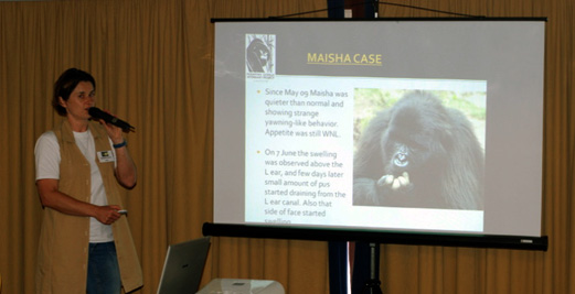Gorilla Doctors Participate in PASA Meeting