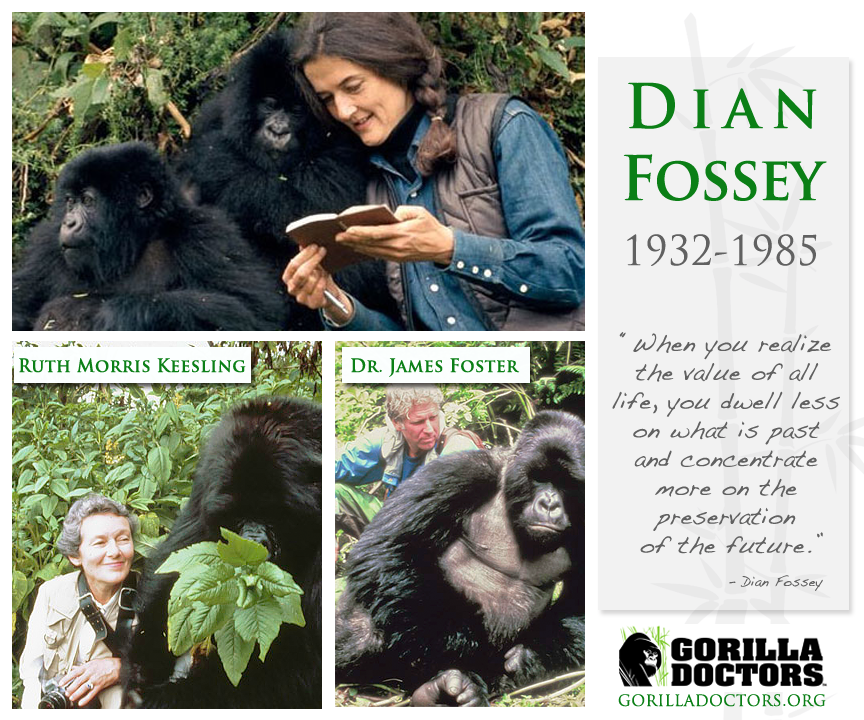Today, We Honor the Memory of Dr. Dian Fossey
