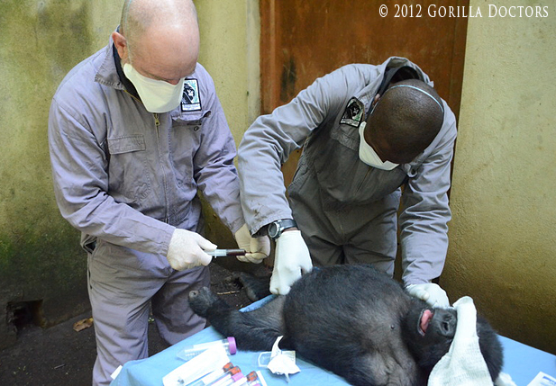 Final Quarantine Exams Completed for New Orphans
