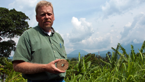 Alternative Fuel Helps Gorillas!