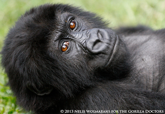 An Exam for Ihirwe, Preparations for the Orphan’s Move to GRACE