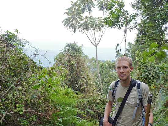 James Hassell Studies Infant Mortality in Mountain Gorillas